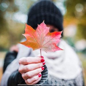 Meet your Posher, Farnaz